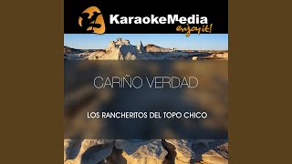 Cariño Verdad Karaoke Version In The Style Of Los Rancheritos Del Topo Chico [upl. by Annodas157]