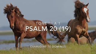 Psalm 20 Exaudiat te Dominus [upl. by Urbana]