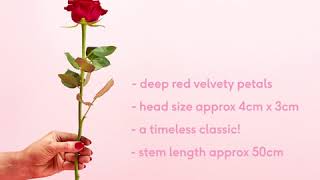 Moonpig How to pick the best red roses [upl. by Lesli]