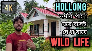 Hollong নদীর পাশে ঘরে বসেই দেখা যাবে WILD LIFE  Aranyer Din Ratri Resort Jaldapara  4K vlog 66 [upl. by Akerue554]