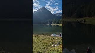 🇨🇭 SCHWEIZER BERGSEE SEEALPSEE 🌲 shorts switzerland alps nature forest wildlife [upl. by Malachy]