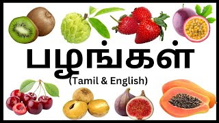 பழங்களின் பெயர்கள்  Fruits Name in Tamil and English 🍓🥝🍒  பழங்கள் Kids Educational videos fruits [upl. by Bryan551]