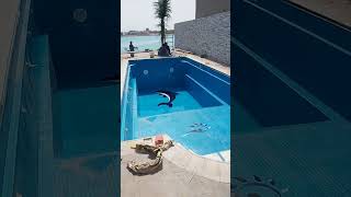 Filter swing pool in beach jeddah [upl. by Osnohpla]