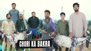 Chori ka Bakra  2nd Day of Eid  Bwp Production [upl. by Hamil]