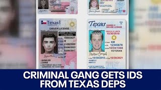 Criminal gang receives 3K Texas IDs from DPS in cyber fraud case director says  FOX 7 Austin [upl. by Atilahs268]