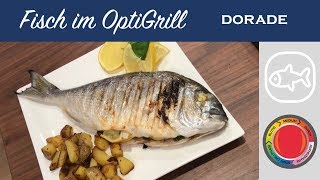 Fisch im Tefal OptiGrill  Dorade [upl. by Lombardi244]