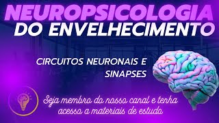 Neuropsicologia do Envelhecimento  Circuitos neuronais e sinapses [upl. by Bee731]