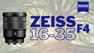 Sony VarioTessar T FE 1635mm f4 ZA OSS Lens  First and Last Impressions [upl. by Eeldivad]