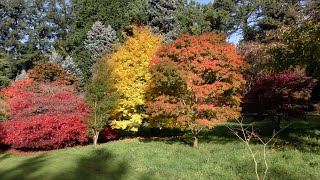 Thorp Perrow Arboretum Bedale North Yorkshire 4K [upl. by Lamee]