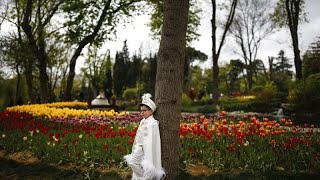 Im Zeichen des Frühlings Millionen Tulpen blühen in Istanbul [upl. by Arymas]