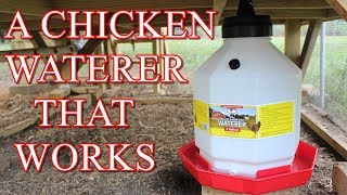 A better chicken waterer for my chickens [upl. by Yekim]