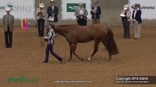 2018 AQHA Select Showmanship [upl. by Eelsel]