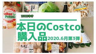 【コストコ購入品】2020年6月第3弾 コストコアヒージョ コストコワインとお野菜を買いました。自家製ジンジャーエール [upl. by Aracahs]