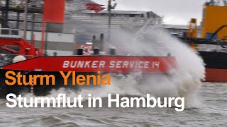 STURMFLUT IN HAMBURG Sturmtief Ylenia bewegt Wassermassen [upl. by Latnahc899]