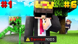 I Tried EVERY ILLEGAL BANNED Mod in Minecraft [upl. by Ginsburg415]