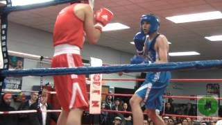 Boxing at Stockyards November 2013 Bouts 123 [upl. by Alekim]