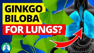 Can Ginkgo Biloba Improve Lung Function ❓ [upl. by Suinotna19]