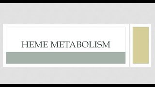 Heme Metaboilsm  session1 [upl. by Noskcaj]