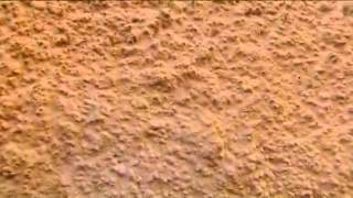 Lime Mortar Finishes [upl. by Nwahsyt63]