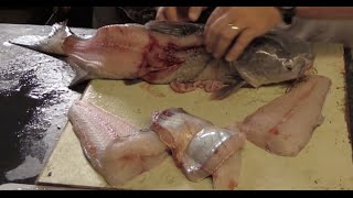 Learn how to fillet a catfish  Detailed Tips and Techniques [upl. by Lauritz582]