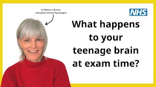 What happens to your teenage brain at exam time [upl. by Wendy43]