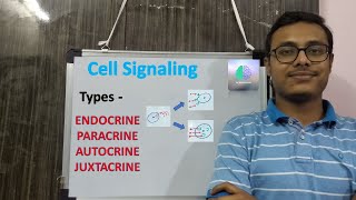 Cell Signaling  Types  Endocrine Paracrine Autocrine Juxtacrine Cell Signaling Types Hindi [upl. by Anahcar]