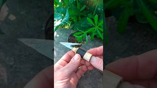 make a fishing harpoon bushcraftskills survivalskills survival bushcraft fishinggear [upl. by Xerxes]