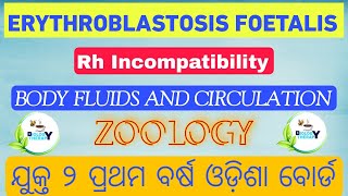 ERYTHROBLASTOSIS FOETALIS  Body Fluids and Circulation  biologytherapy chse neet 11th 12th [upl. by Ecinnej]