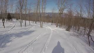 Skiing the Lower part of Burnt Mountain Cat Skiing February 2019 [upl. by Marshall]