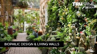 Florida Landscape Design 84  Living Walls by TruVine Design  Delray Beach Florida [upl. by Lunn]