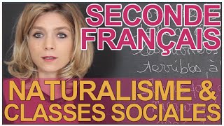 Le roman au 19e siècle  Naturalisme amp classes sociales  Français  Seconde  Les Bons Profs [upl. by Batty]