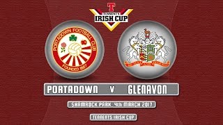 Portadown 0  5 Glenavon TIC 040317 [upl. by Auoy706]