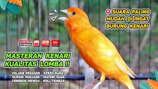 Kenari GACOR‼️ Masteran Burung Kenari PAUD dan Pancingan Kenari MACET BUNYI  EPISODE 1196 [upl. by Nnalyrehs156]