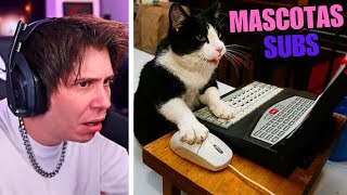 Rubius reacciona a mascotas de viewers [upl. by Alak710]