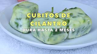 CUBITOS DE CILANTROS Como conservar tu Cilantro [upl. by Carree783]