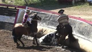 RODEO SAN ANTONIO 9  10 DIC 2023 CAMPEONES [upl. by Jarek]