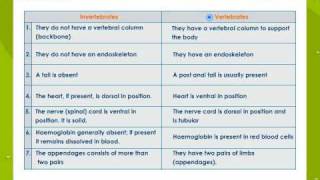 Characteristics of Animal Groups [upl. by Firman255]