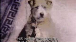 Story of Owney Mascot of the Railway Mail Service [upl. by Ieluuk]