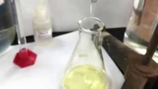 Determining Amount of Iodine in Iodized Salt Lab [upl. by Yttocs]