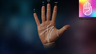 Life Palmistry ——Love Work Marriage Just Scan Your Palm to Explore Your Future  Free to Use [upl. by Medovich]