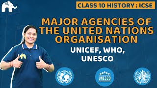 Major Agencies of the United Nations Organisation Class 10 ICSE History  Selina Chapter 15 [upl. by Narrad109]