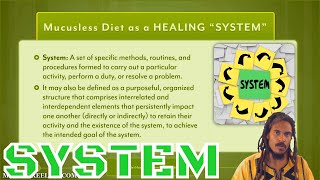 Importance of Practicing the quotSystemquot  From Lesson 11 Mucusless Diet Healing System eCourse [upl. by Hajar]