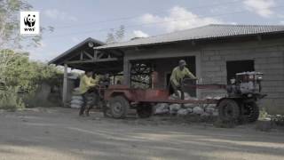 Isabela Story Agroforestry [upl. by Eila]