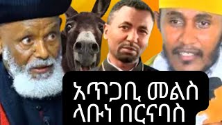 🔴አቡነ በርናባስ የአህያ እና የአይጥ ስጋ ብሉ አሉ ምነካቸው።🔴አባ ገብረ ኪዳን እና መምህር ዘበነ ምላሽ ሰጡ። [upl. by Nirej]