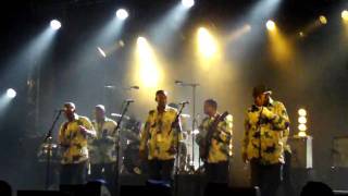 Les Bantous de la Capitale Live  Babel Med Music 2009 [upl. by Yadrahc]