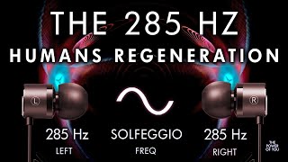 Humans Regeneration  285hz Brain Hemisphere Synchronization [upl. by Loutitia]