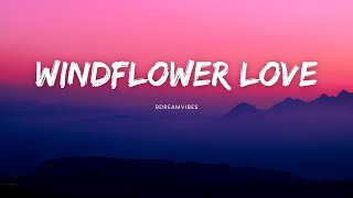 Windflower Love  9Dreamvibes Official Audio Song [upl. by Dario427]