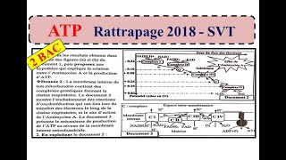 Rattrapage 2018 SVT ATP [upl. by Nanreit427]