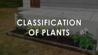 Classification in Plants\PLANTAE KINGDOM OF CLASSIFICATION [upl. by Ellinehc545]