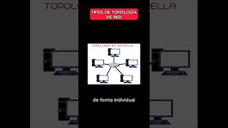 ✅Tipos de Topología de RED [upl. by Dannel]